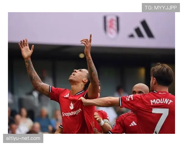 B费在曼联的战术作用与实际贡献是否存在高估？